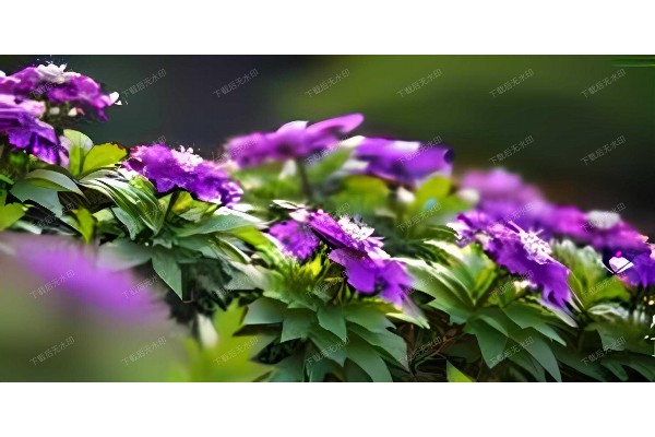 杭州余杭良渚：享受桑拿按摩，约茶养心